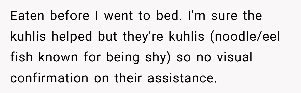Eaten before I went to bed. I'm sure the kuhlis helped but they're kuhlis (noodle/eel fish known for being shy) so no visual confirmation on their assistance.