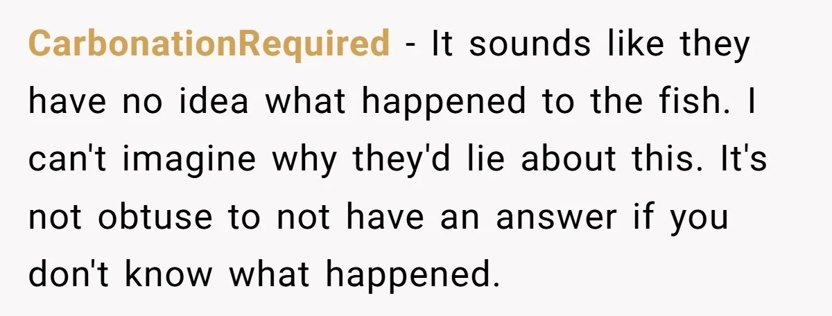 CarbonationRequired − It sounds like they have no idea what happened to the fish. I can't imagine why they'd lie about this. It's not obtuse to not have an answer...