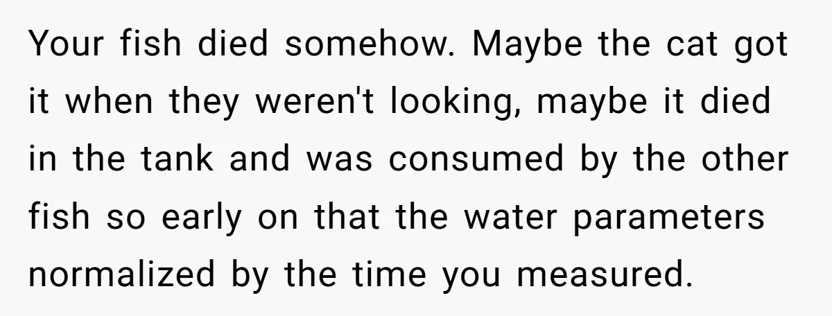 Your fish died somehow. Maybe the cat got it when they weren't looking, maybe it died in the tank and was consumed by the other fish so early on that...