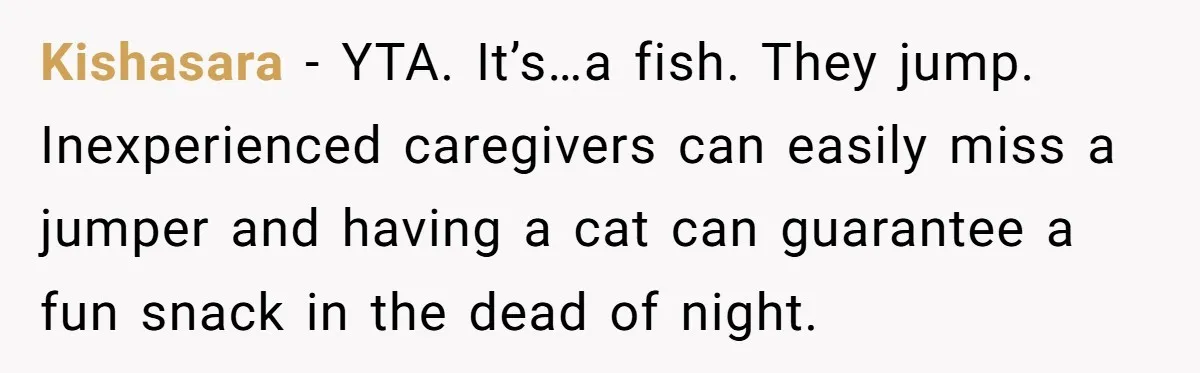 Kishasara − YTA. It’s…a fish. They jump. Inexperienced caregivers can easily miss a jumper and having a cat can guarantee a fun snack in the dead of night.
