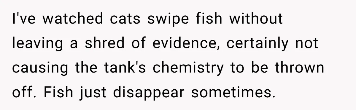 I've watched cats swipe fish without leaving a shred of evidence, certainly not causing the tank's chemistry to be thrown off. Fish just disappear sometimes.