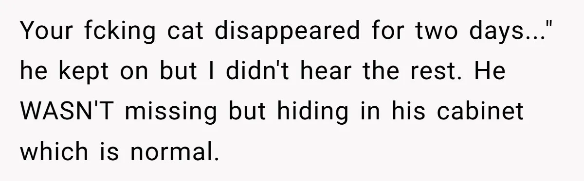 Your fcking cat disappeared for two days..." he kept on but I didn't hear the rest. He WASN'T missing but hiding in his cabinet which is normal.