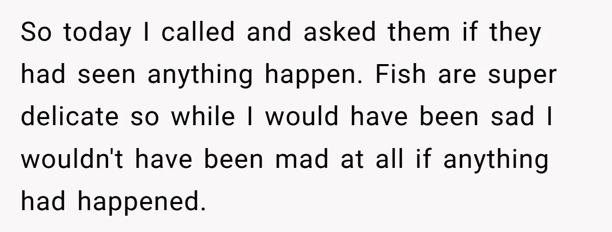So today I called and asked them if they had seen anything happen. Fish are super delicate so while I would have been sad I wouldn't have been mad at...