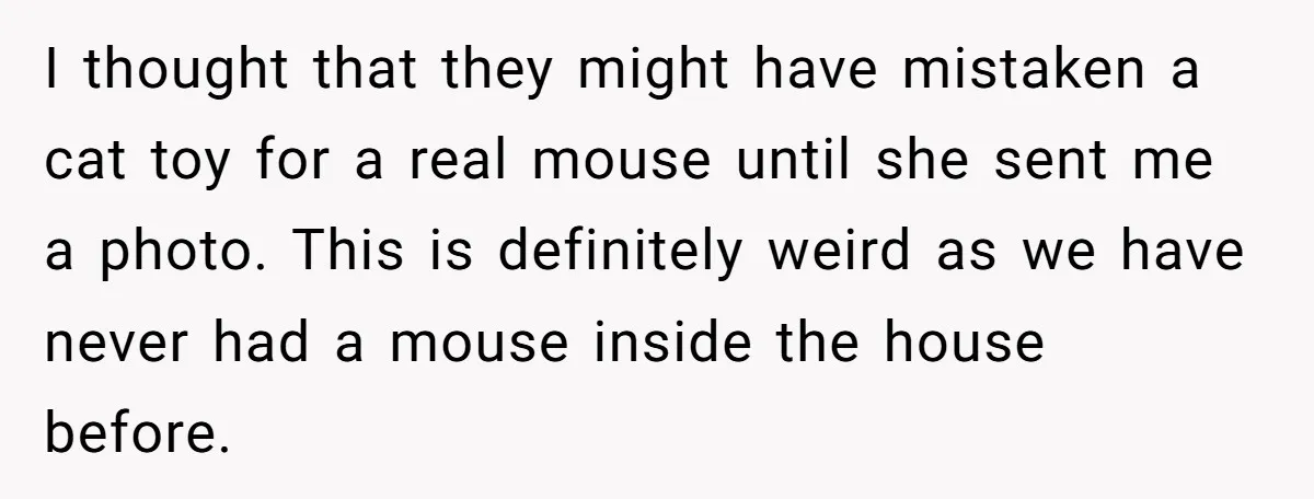 I thought that they might have mistaken a cat toy for a real mouse until she sent me a photo. This is definitely weird as we have never had a...