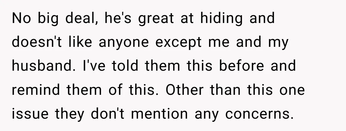 No big deal, he's great at hiding and doesn't like anyone except me and my husband. I've told them this before and remind them of this. Other than this one...