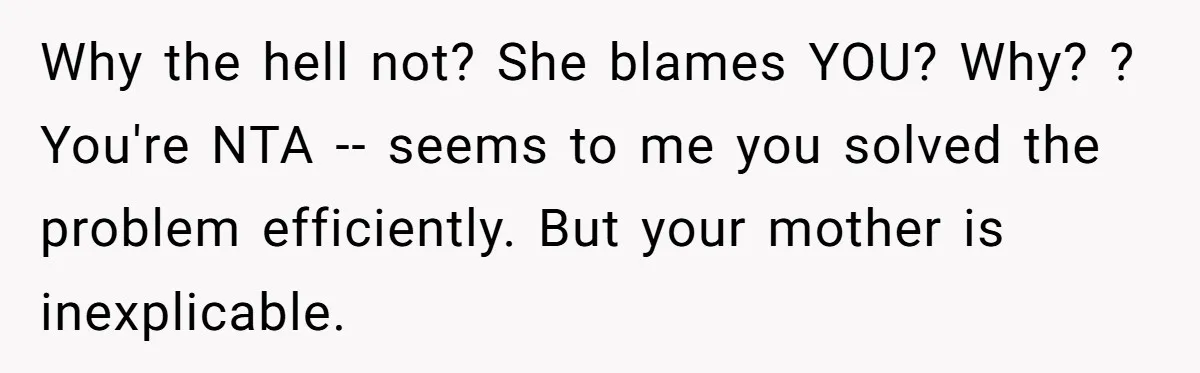 Why the hell not? She blames YOU? Why? ? You're NTA -- seems to me you solved the problem efficiently. But your mother is inexplicable.