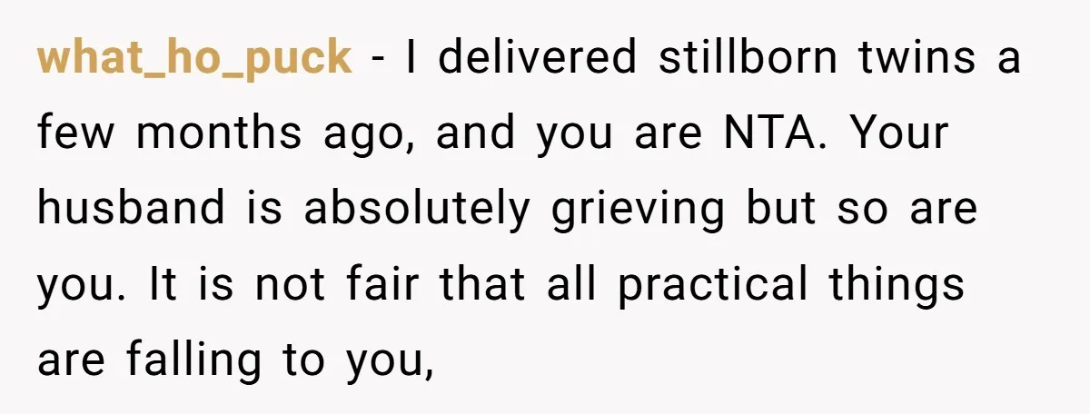 what_ho_puck − I delivered stillborn twins a few months ago, and you are NTA. Your husband is absolutely grieving but so are you. It is not fair that all practical...