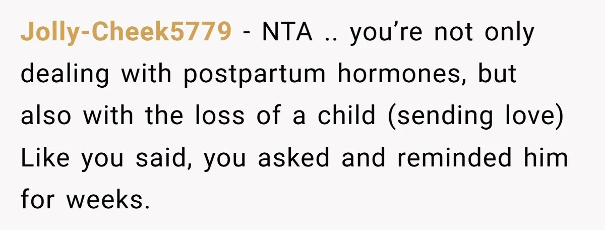 Jolly-Cheek5779 − NTA .. you’re not only dealing with postpartum hormones, but also with the loss of a child (sending love) Like you said, you asked and reminded him for...