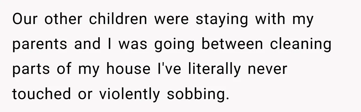 Our other children were staying with my parents and I was going between cleaning parts of my house I've literally never touched or violently sobbing.