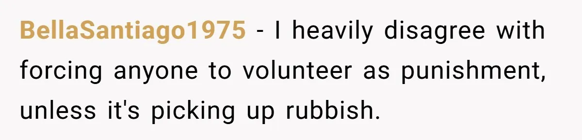 BellaSantiago1975 − I heavily disagree with forcing anyone to volunteer as punishment, unless it's picking up rubbish.