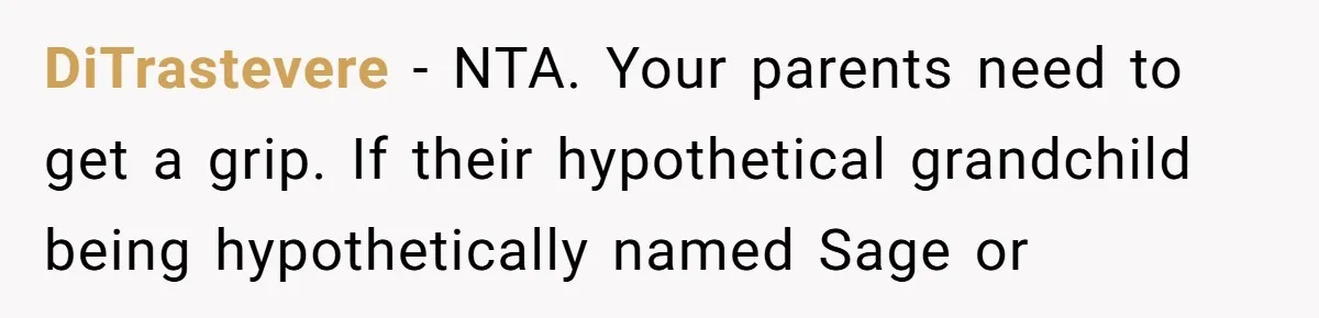 DiTrastevere − NTA. Your parents need to get a grip. If their hypothetical grandchild being hypothetically named Sage or