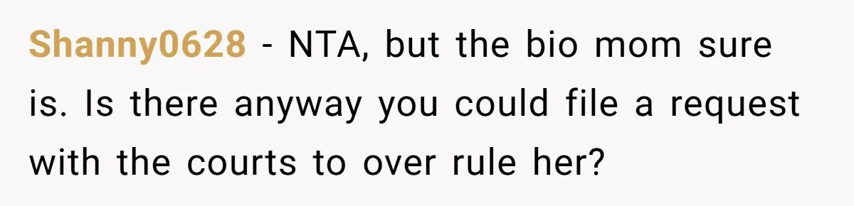 Shanny0628 − NTA, but the bio mom sure is. Is there anyway you could file a request with the courts to over rule her?