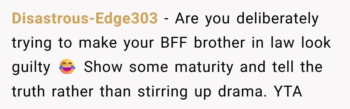 Disastrous-Edge303 − Are you deliberately trying to make your BFF brother in law look guilty 😂 Show some maturity and tell the truth rather than stirring up drama. YTA