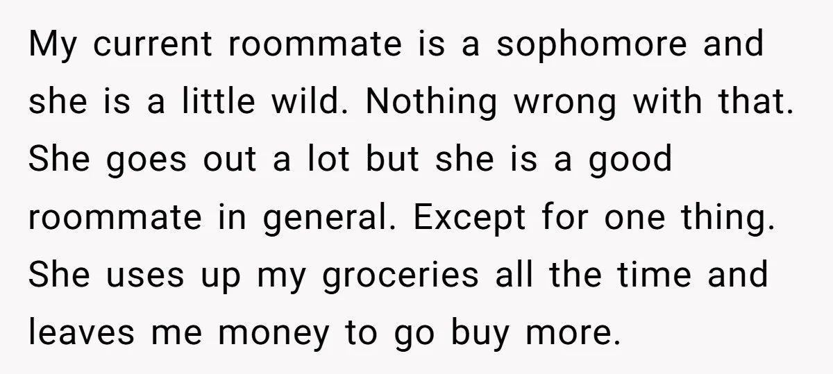 My current roommate is a sophomore and she is a little wild. Nothing wrong with that. She goes out a lot but she is a good roommate in general. Except...