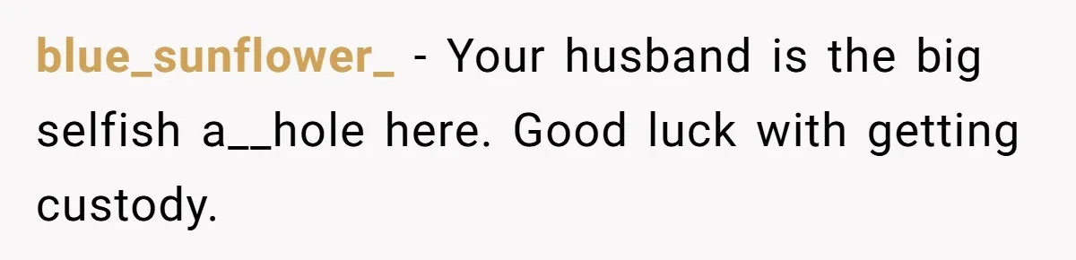 blue_sunflower_ − Your husband is the big selfish a__hole here. Good luck with getting custody.