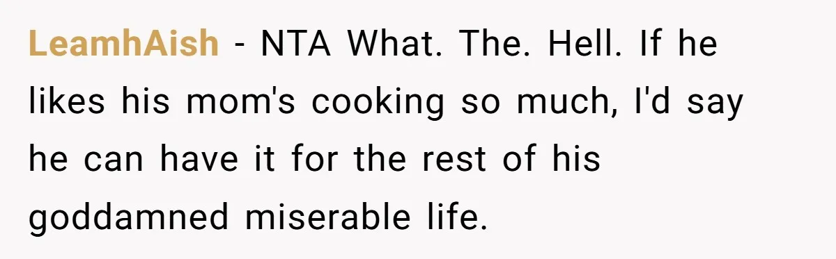 LeamhAish − NTA What. The. Hell. If he likes his mom's cooking so much, I'd say he can have it for the rest of his goddamned miserable life.