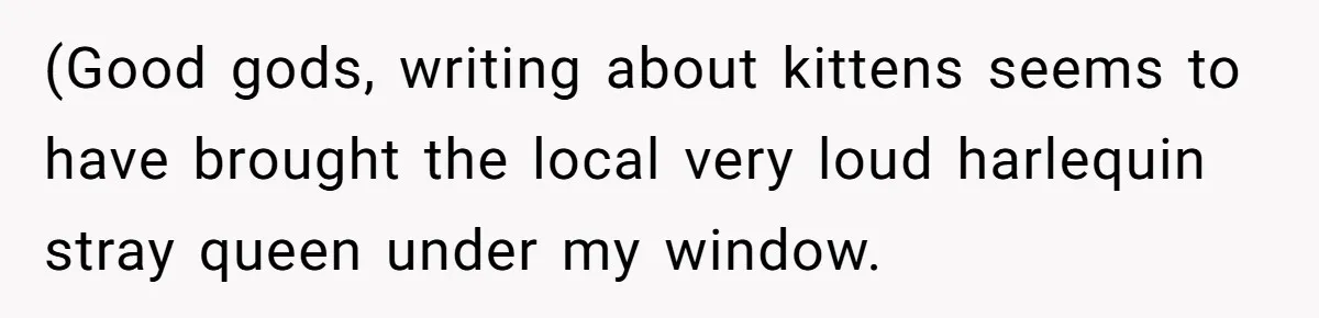 (Good gods, writing about kittens seems to have brought the local very loud harlequin stray queen under my window.