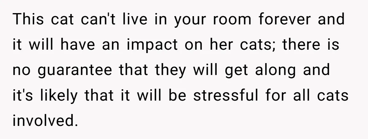 This cat can't live in your room forever and it will have an impact on her cats; there is no guarantee that they will get along and it's likely that...