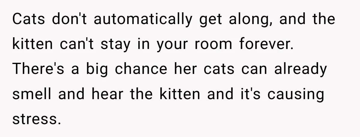 Cats don't automatically get along, and the kitten can't stay in your room forever. There's a big chance her cats can already smell and hear the kitten and it's causing...