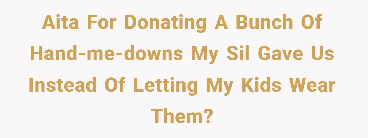 AITA for donating a bunch of hand-me-downs my SIL gave us instead of letting my kids wear them?
