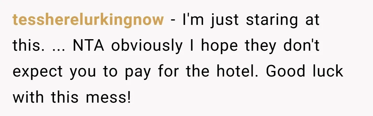 tessherelurkingnow − I'm just staring at this. ... NTA obviously I hope they don't expect you to pay for the hotel. Good luck with this mess!