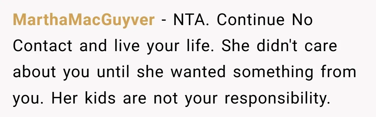MarthaMacGuyver − NTA. Continue No Contact and live your life. She didn't care about you until she wanted something from you. Her kids are not your responsibility.