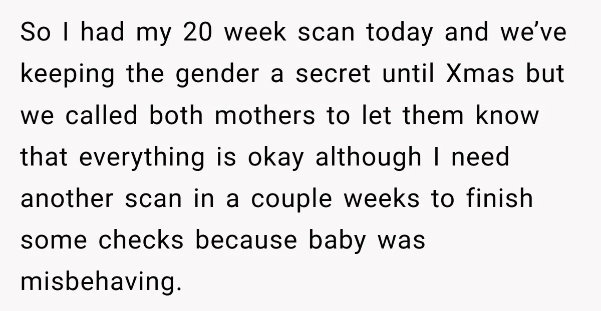 So I had my 20 week scan today and we’ve keeping the gender a secret until Xmas but we called both mothers to let them know that everything is okay...