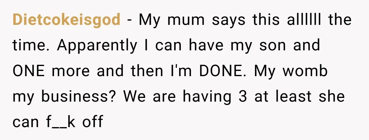 Dietcokeisgod − My mum says this allllll the time. Apparently I can have my son and ONE more and then I'm DONE. My womb my business? We are having 3...