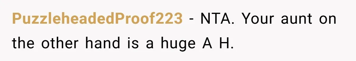 PuzzleheadedProof223 − NTA. Your aunt on the other hand is a huge A H.