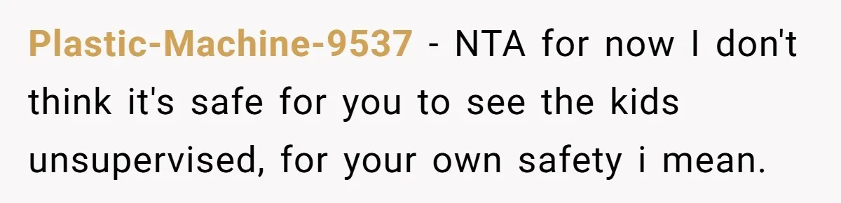 Plastic-Machine-9537 − NTA for now I don't think it's safe for you to see the kids unsupervised, for your own safety i mean.