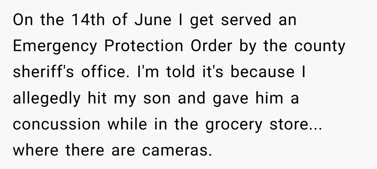 On the 14th of June I get served an Emergency Protection Order by the county sheriff's office. I'm told it's because I allegedly hit my son and gave him a...
