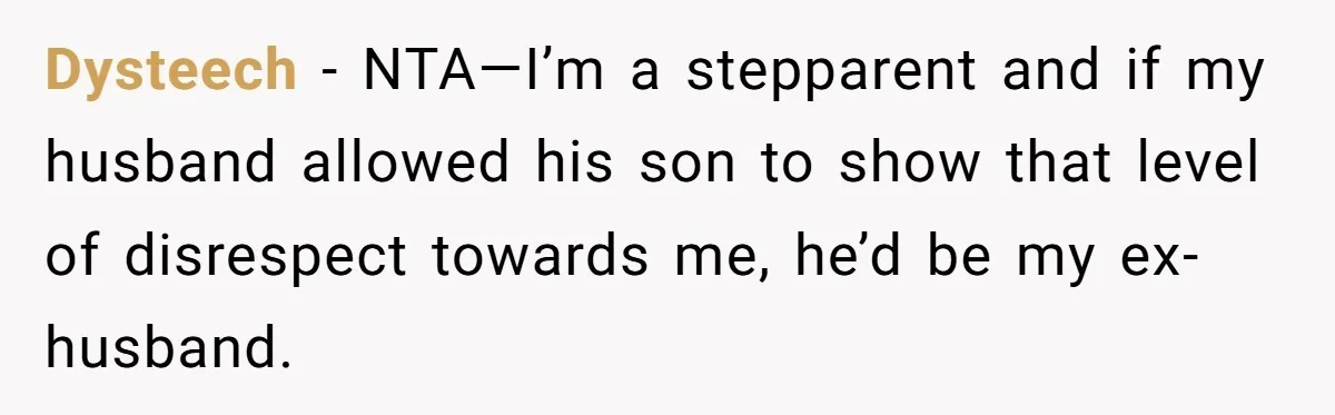 Dysteech − NTA—I’m a stepparent and if my husband allowed his son to show that level of disrespect towards me, he’d be my ex-husband.