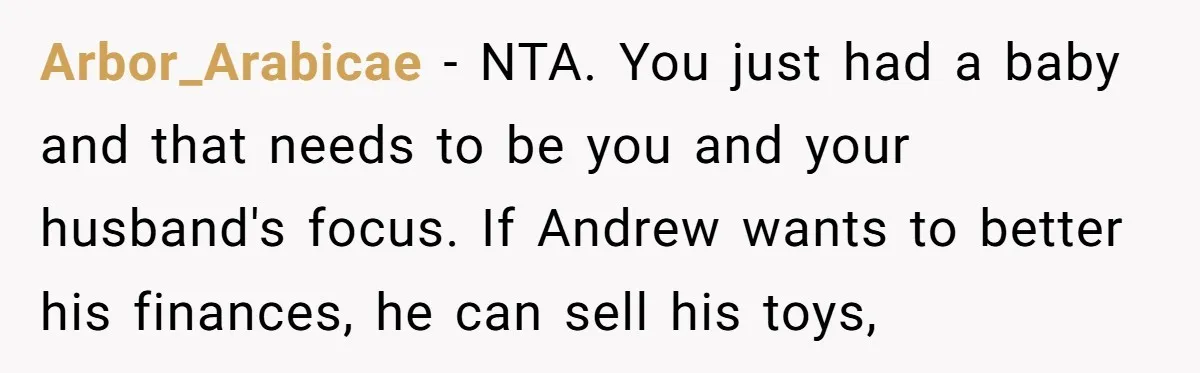 Arbor_Arabicae − NTA. You just had a baby and that needs to be you and your husband's focus. If Andrew wants to better his finances, he can sell his toys,