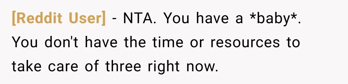 [Reddit User] − NTA. You have a *baby*. You don't have the time or resources to take care of three right now.