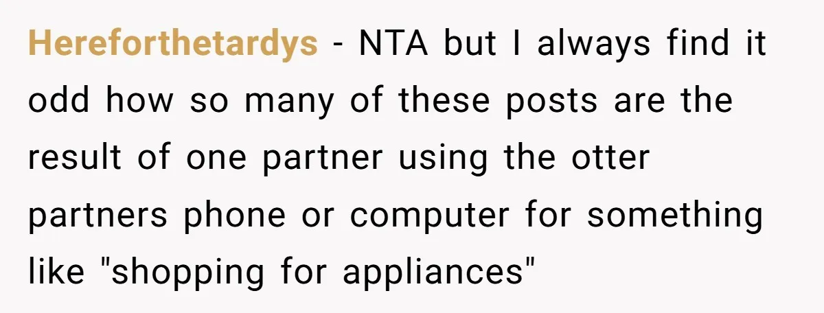 Hereforthetardys − NTA but I always find it odd how so many of these posts are the result of one partner using the otter partners phone or computer for something...