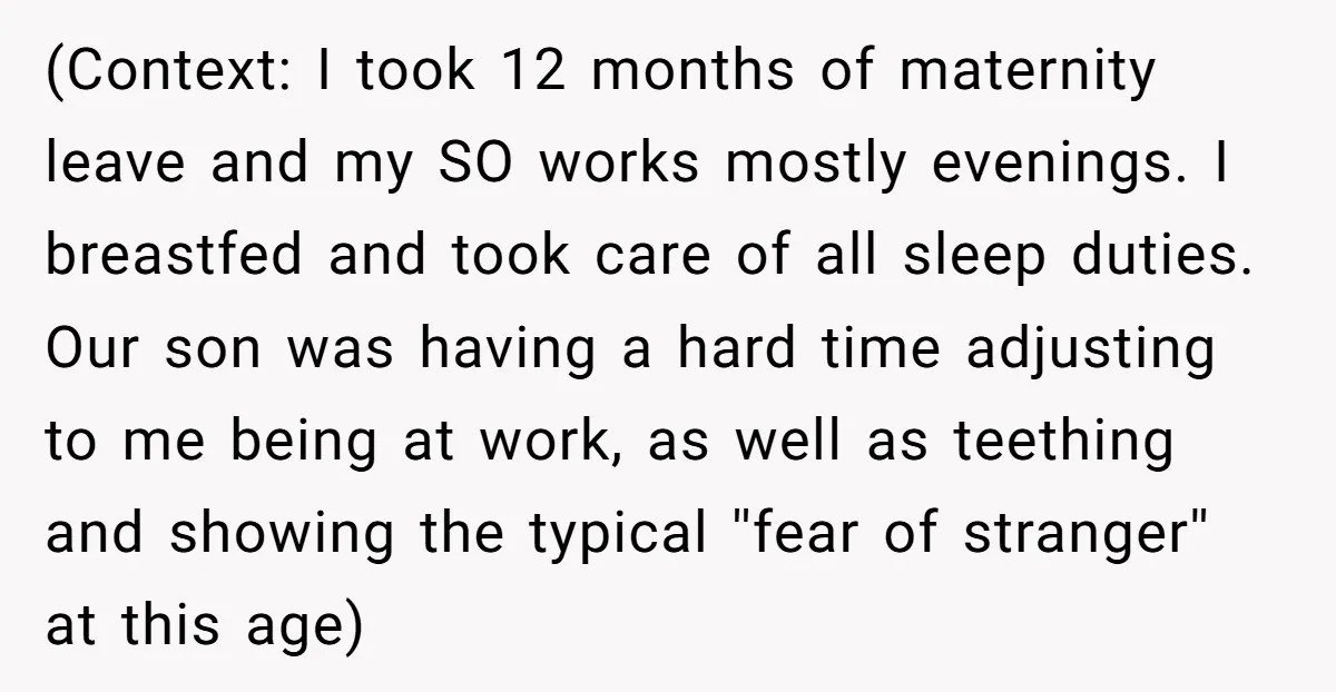 (Context: I took 12 months of maternity leave and my SO works mostly evenings. I breastfed and took care of all sleep duties. Our son was having a hard time...