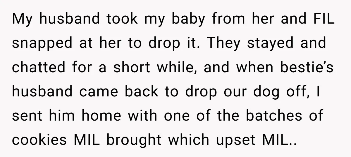 My husband took my baby from her and FIL snapped at her to drop it. They stayed and chatted for a short while, and when bestie’s husband came back to...