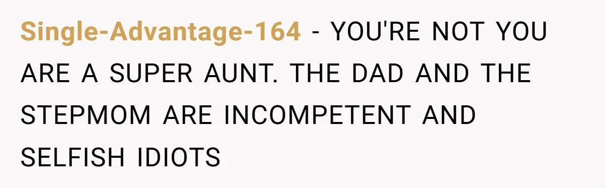 Single-Advantage-164 − YOU'RE NOT YOU ARE A SUPER AUNT. THE DAD AND THE STEPMOM ARE INCOMPETENT AND SELFISH IDIOTS