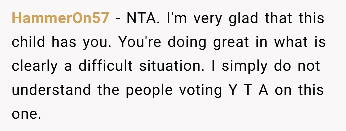 HammerOn57 − NTA. I'm very glad that this child has you. You're doing great in what is clearly a difficult situation. I simply do not understand the people voting Y...