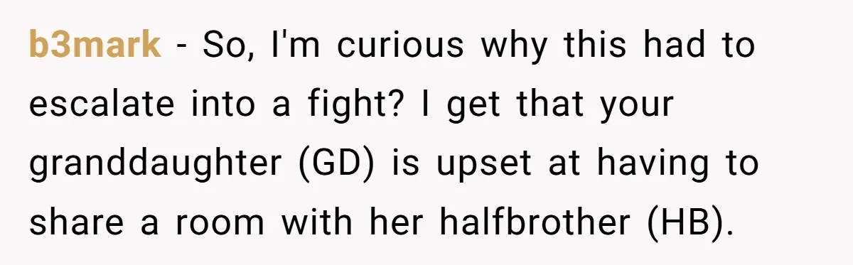 b3mark − So, I'm curious why this had to escalate into a fight? I get that your granddaughter (GD) is upset at having to share a room with her halfbrother...