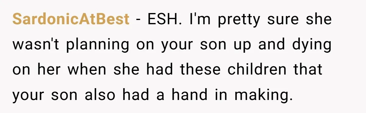 SardonicAtBest − ESH. I'm pretty sure she wasn't planning on your son up and dying on her when she had these children that your son also had a hand in...