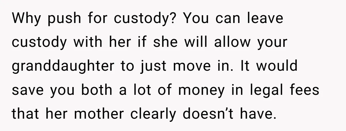 Why push for custody? You can leave custody with her if she will allow your granddaughter to just move in. It would save you both a lot of money in...