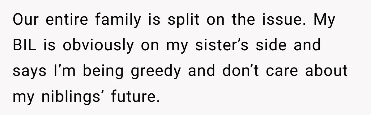 Our entire family is split on the issue. My BIL is obviously on my sister’s side and says I’m being greedy and don’t care about my niblings’ future.