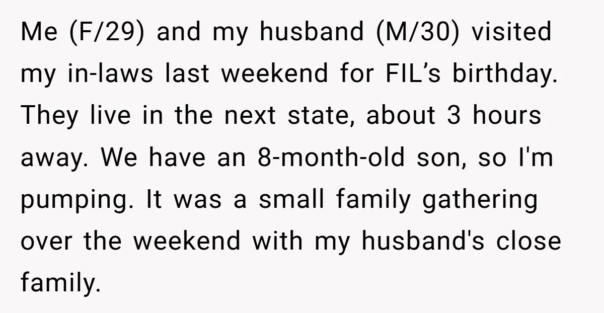 Me (F/29) and my husband (M/30) visited my in-laws last weekend for FIL’s birthday. They live in the next state, about 3 hours away. We have an 8-month-old son, so...