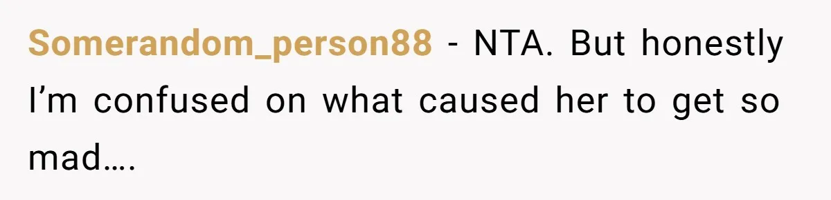 Somerandom_person88 − NTA. But honestly I’m confused on what caused her to get so mad….
