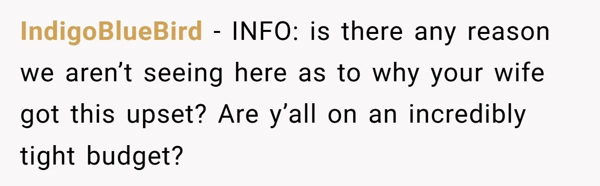 IndigoBlueBird − INFO: is there any reason we aren’t seeing here as to why your wife got this upset? Are y’all on an incredibly tight budget?