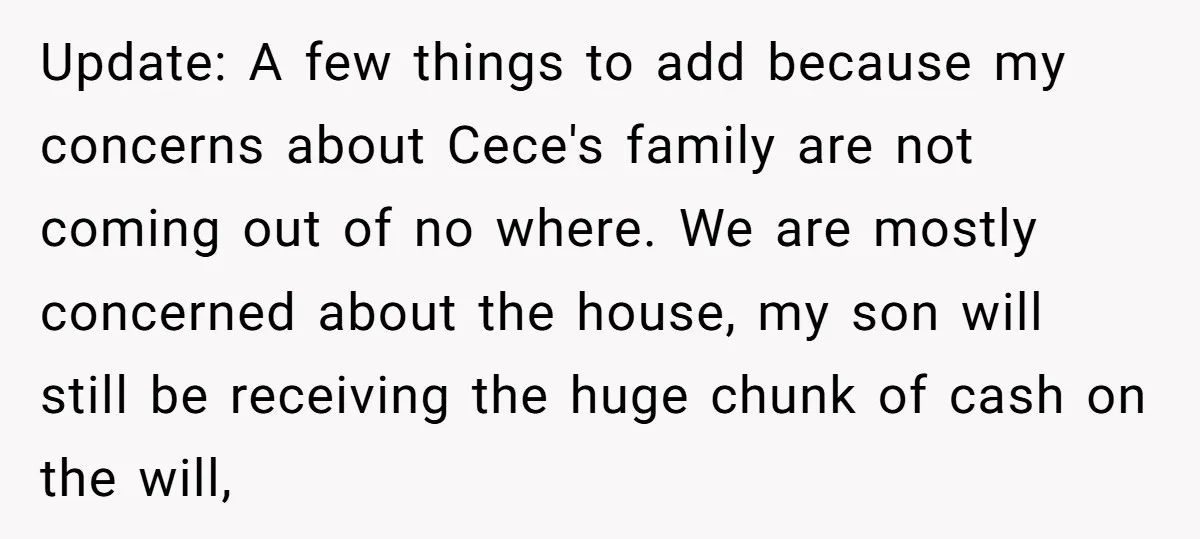 Update: A few things to add because my concerns about Cece's family are not coming out of no where. We are mostly concerned about the house, my son will still...