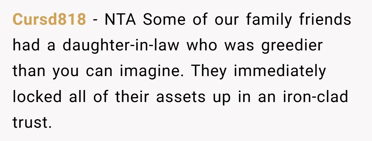 Cursd818 − NTA Some of our family friends had a daughter-in-law who was greedier than you can imagine. They immediately locked all of their assets up in an iron-clad trust.