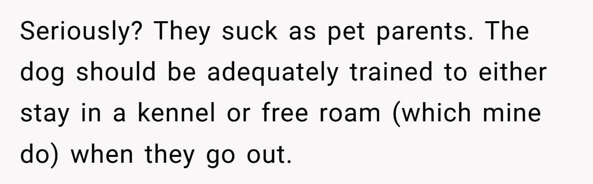 Seriously? They suck as pet parents. The dog should be adequately trained to either stay in a kennel or free roam (which mine do) when they go out.