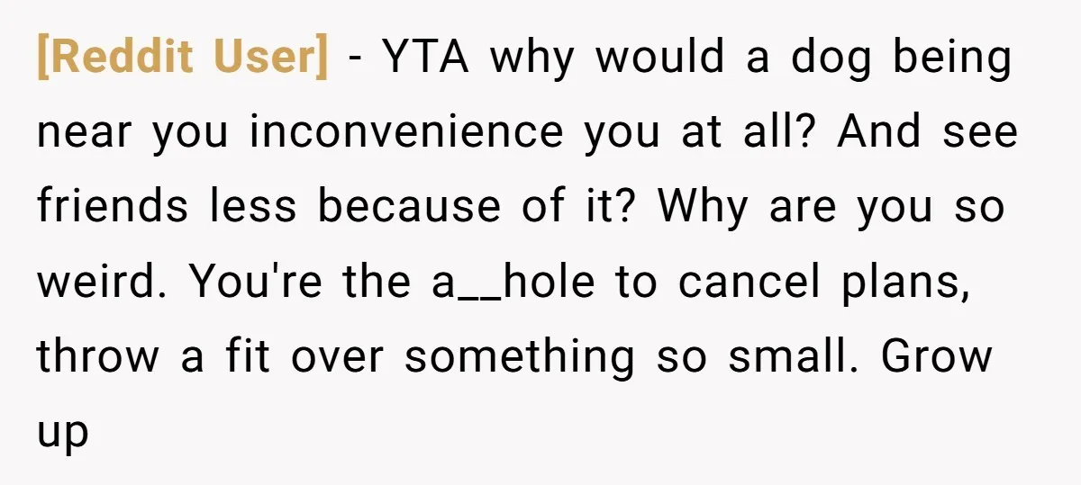 [Reddit User] − YTA why would a dog being near you inconvenience you at all? And see friends less because of it? Why are you so weird. You're the a__hole...